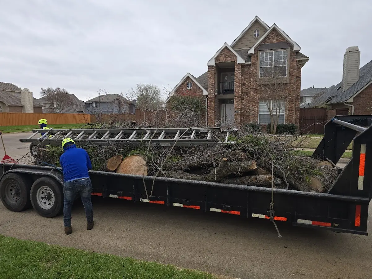 Expert Lot Clearing with proper safety equipment in Harper